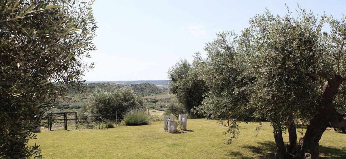 วิวจากที่พัก