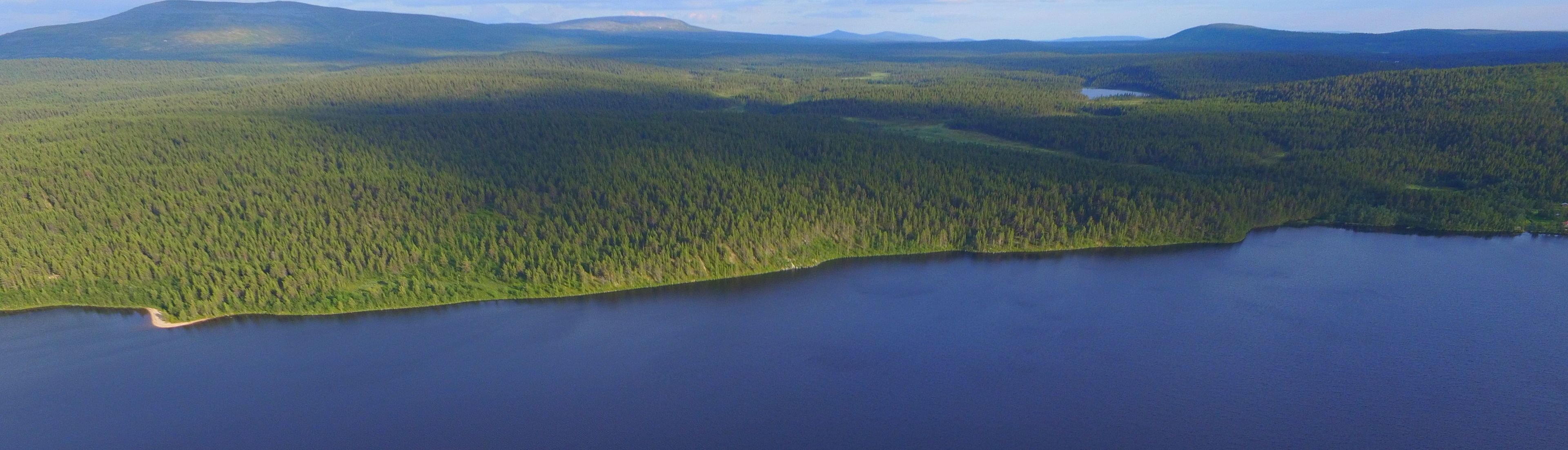An aerial view of a forested area with a lake.