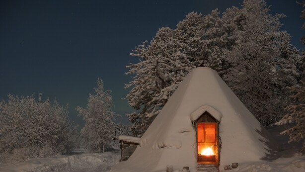 Una iglú cubierta de nieve con un interior iluminado, rodeada de árboles cargados de nieve.