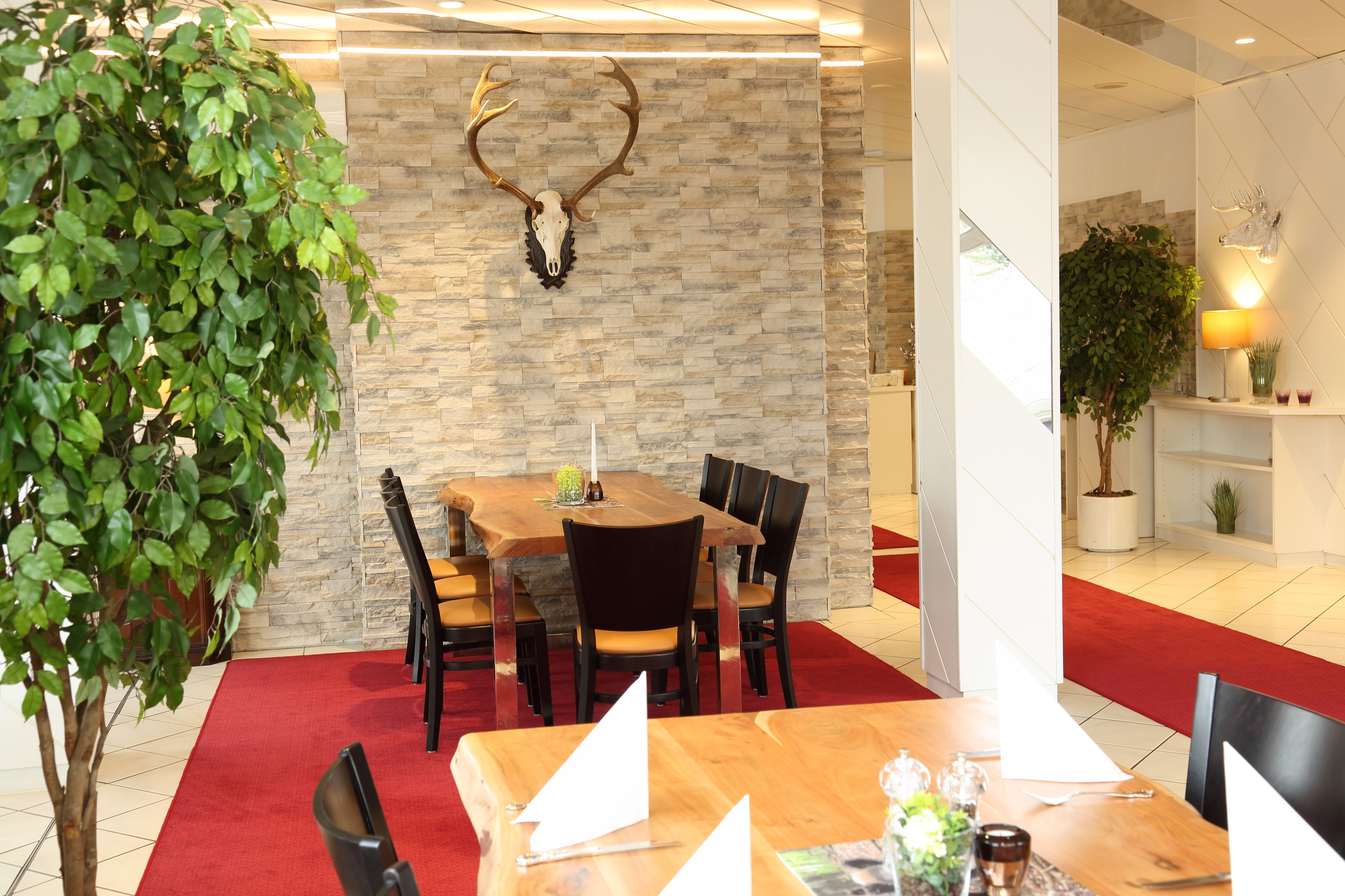 dinner served, regional cuisine, al fresco dining