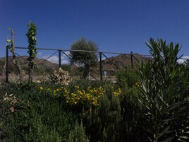 Jardín