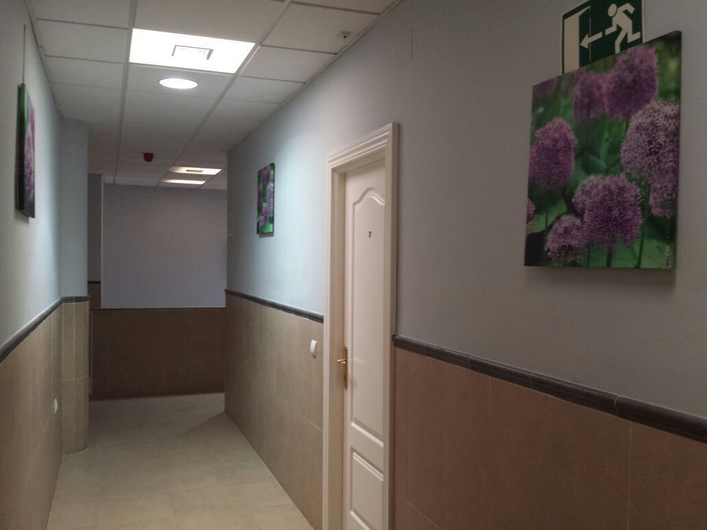 Foto - Hostal la Molina