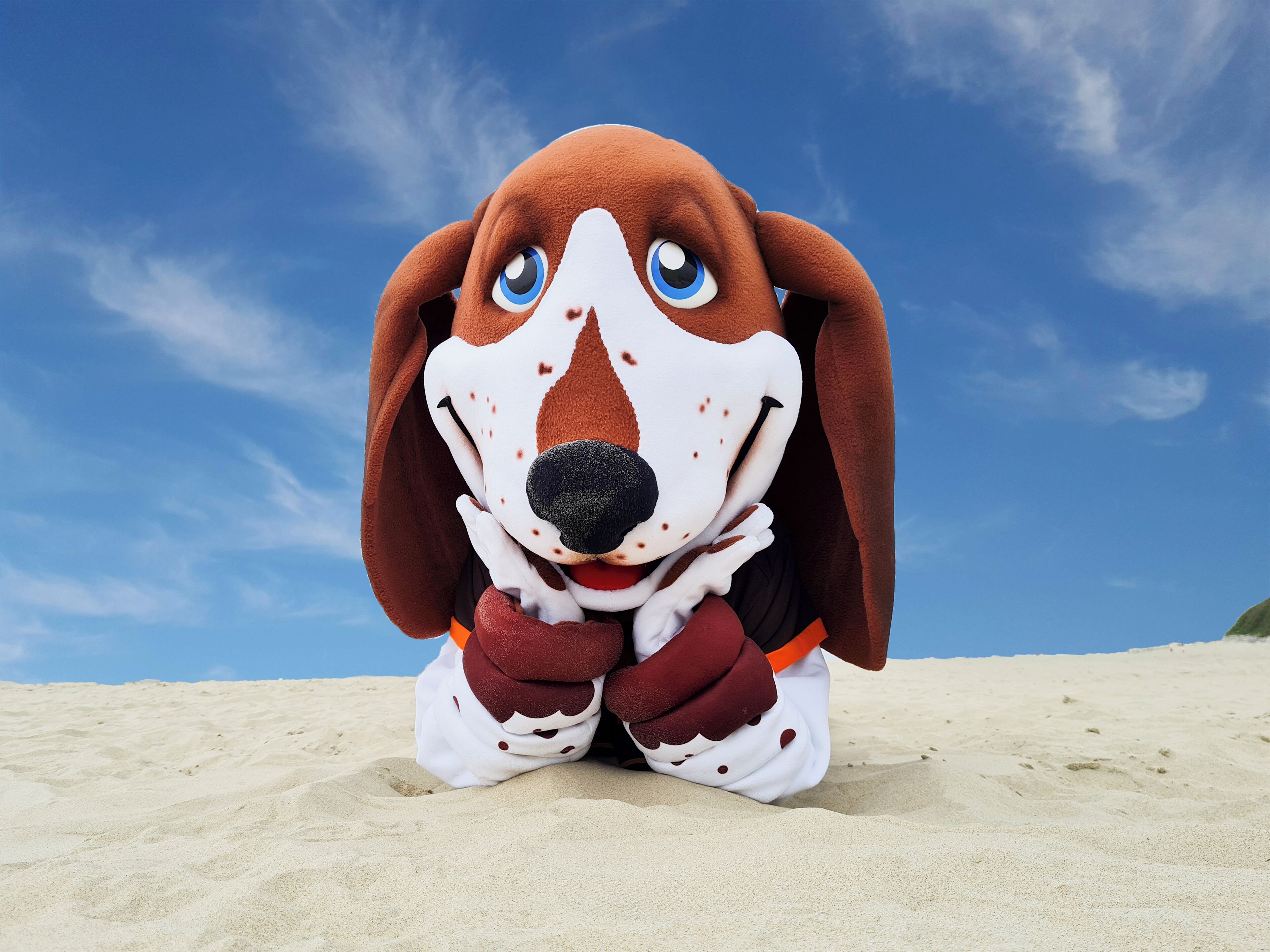 Una persona vestida de perro sentada en una playa arenosa, con un cielo azul despejado al fondo.