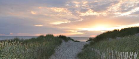 A sandy path flanked by grass leading to a beach with a wooden fence.