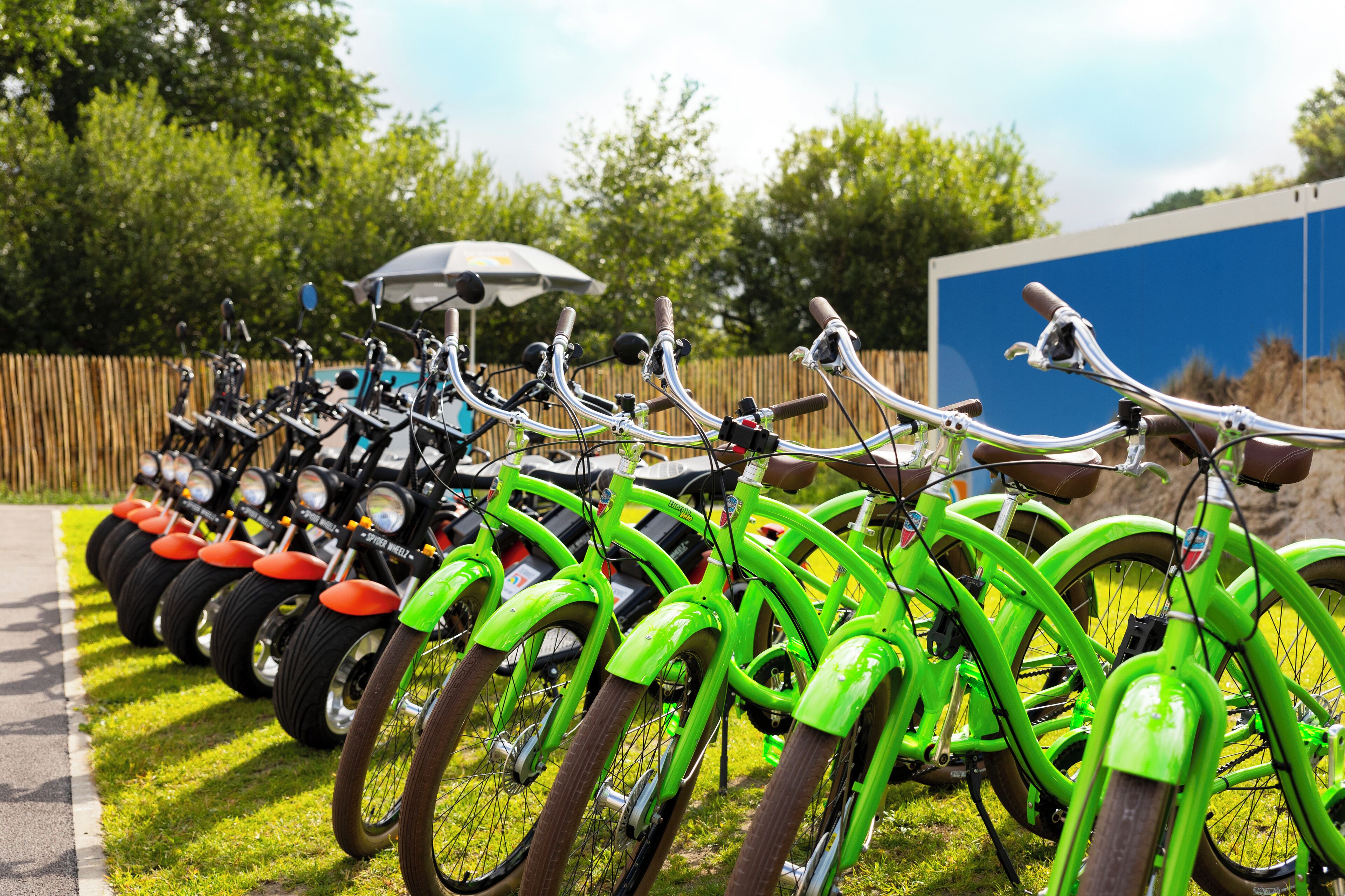 A row of bicycles parked outdoors, with a fence and trees in the background.