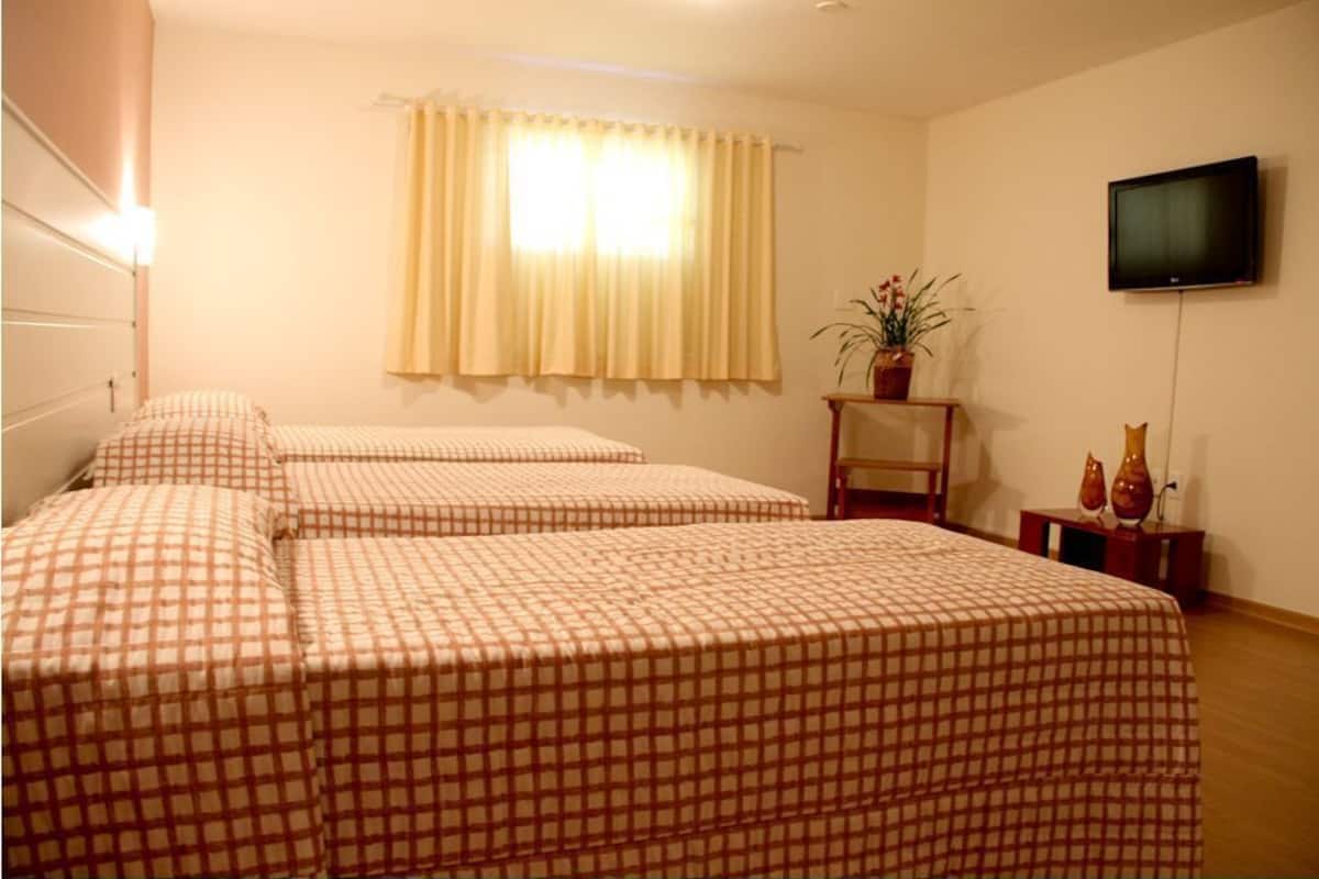 Ein Hotelzimmer mit zwei Betten, einem Fernseher, einer Topfpflanze und einem kleinen Tisch mit Dekoration.