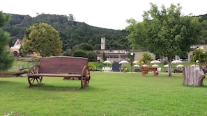 Outdoor pool, pool loungers