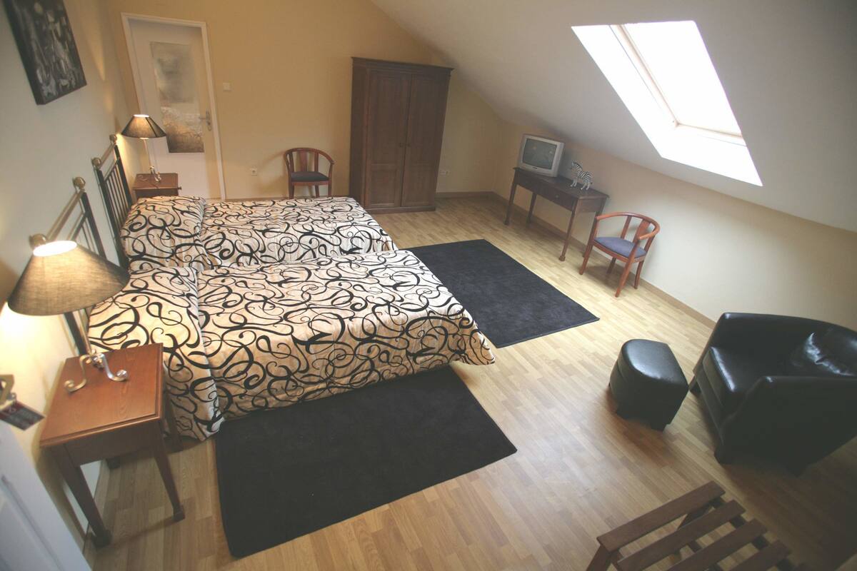 A bedroom with a bed, a desk, a chair, a wardrobe, and a skylight.