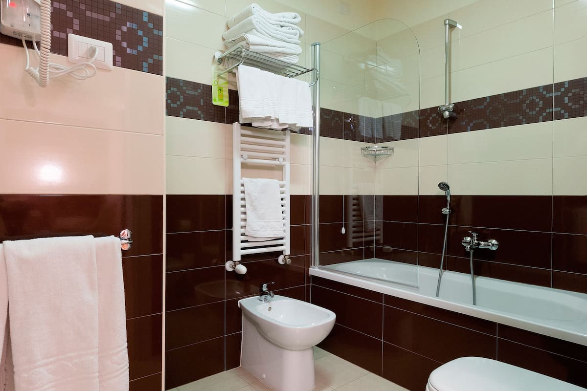 shower, free toiletries, hair dryer, bidet