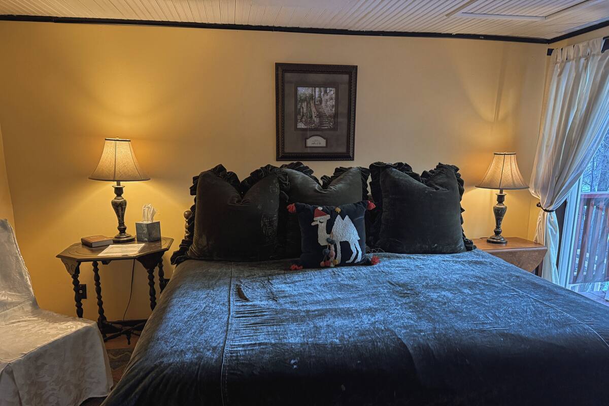 A hotel room with a large bed, two bedside tables with lamps, a framed picture on the wall, and a view of the outdoors through the window.