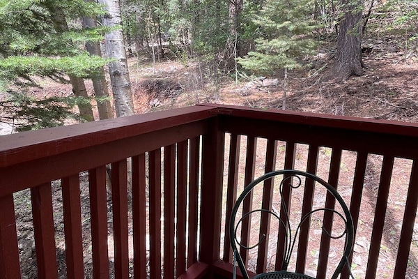 Eenvoudige kamer, privébadkamer (Andrew's Room) | Terras