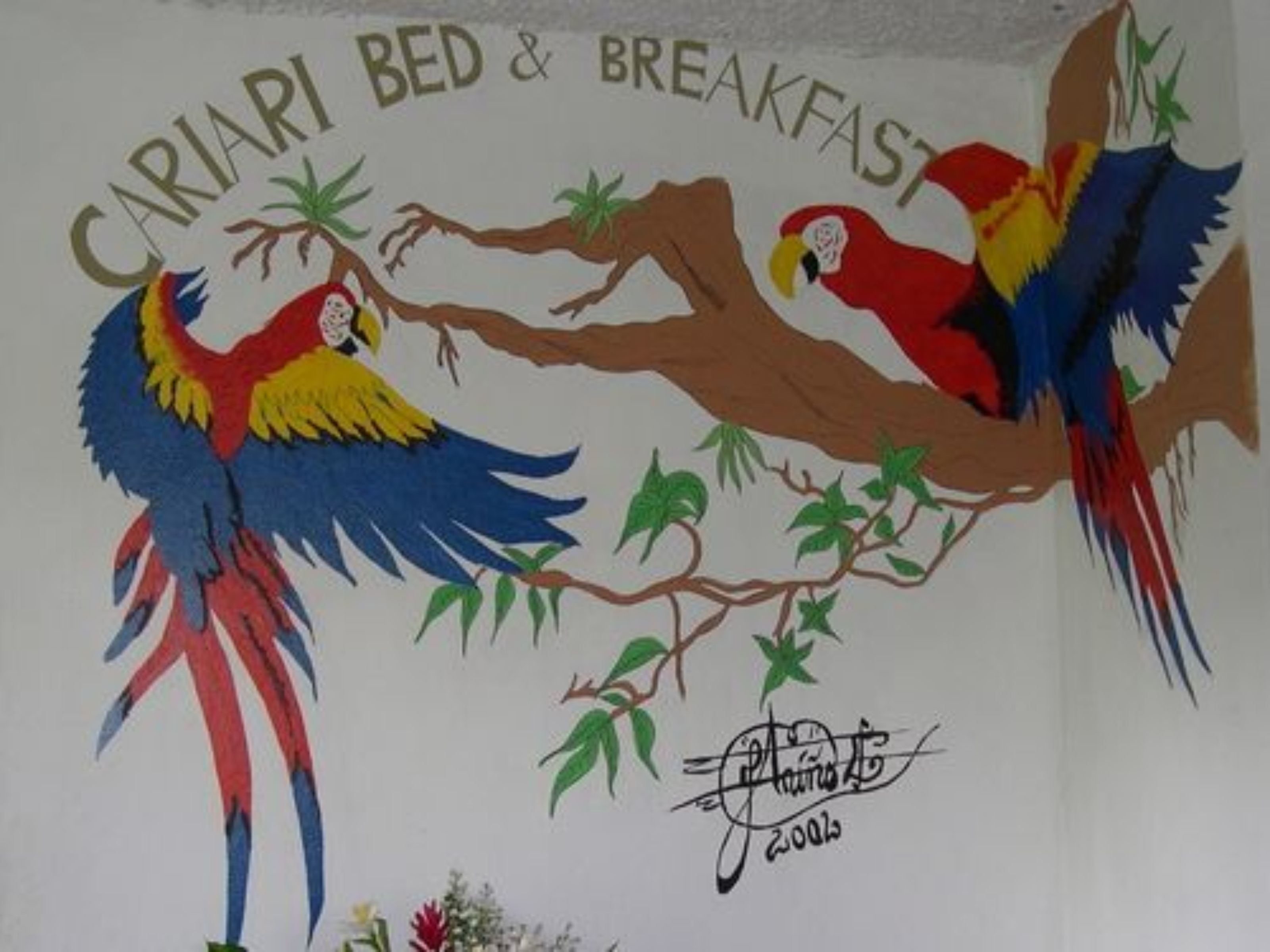 Foto - Cariari Bed & Breakfast