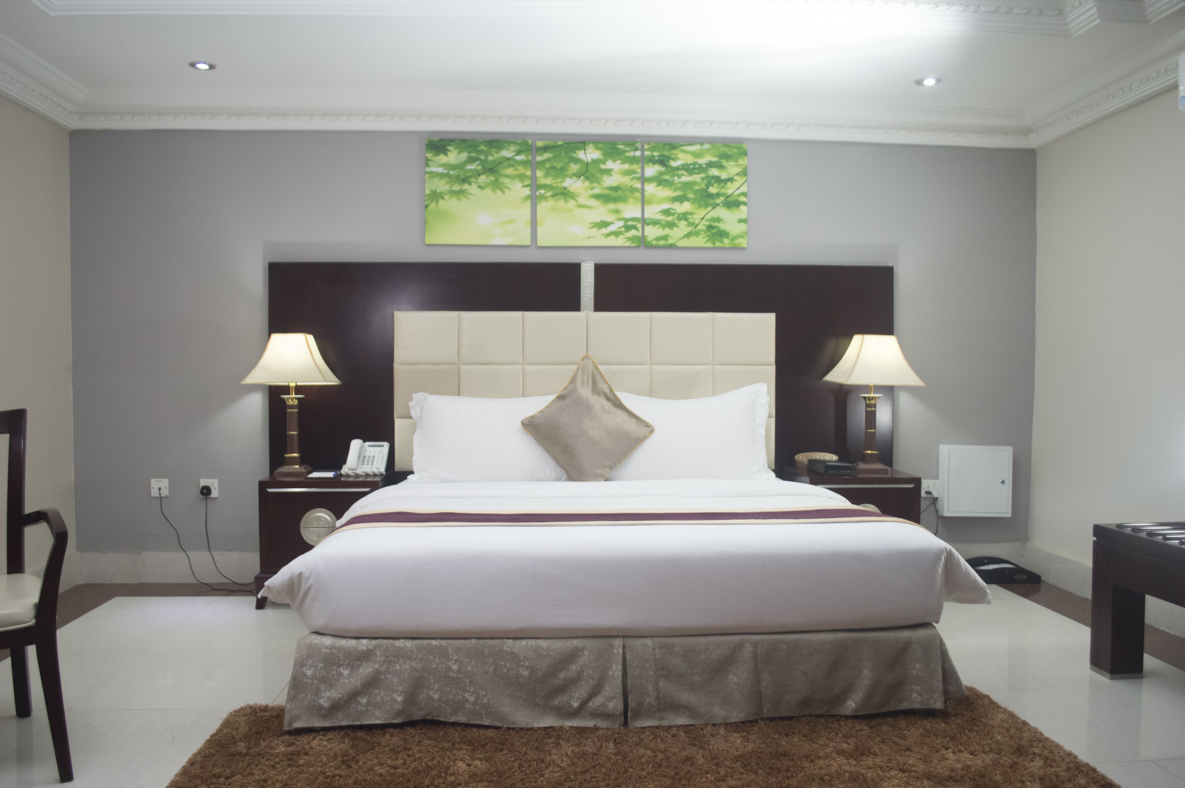 Chambre Exécutive | Minibar, coffres-forts dans les chambres, décoration personnalisée