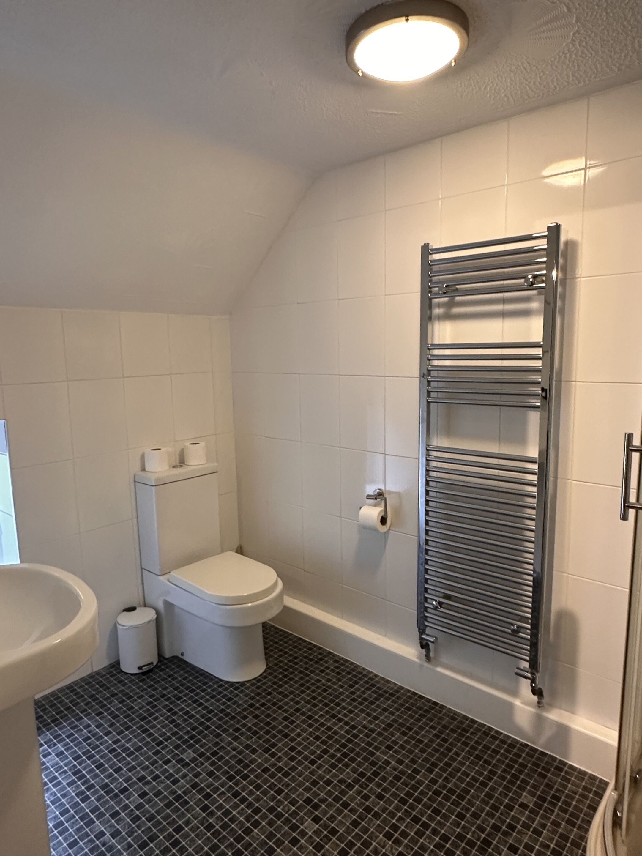 Ein Badezimmer mit Toilette, Bidet, Handtuchhalter und Duschbereich.