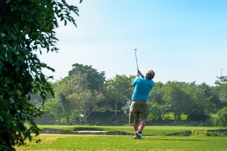Royal Isabela - Image 26
