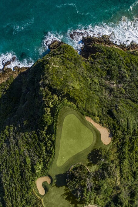 Royal Isabela - Image 21