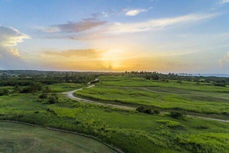 Royal Isabela - Image 32