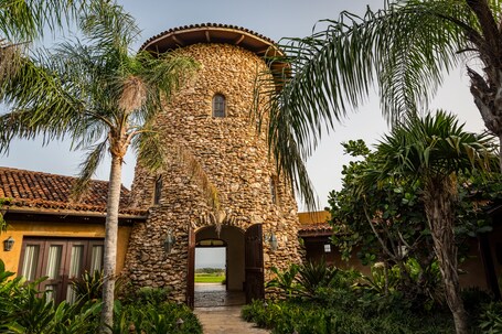 Royal Isabela - Image 8