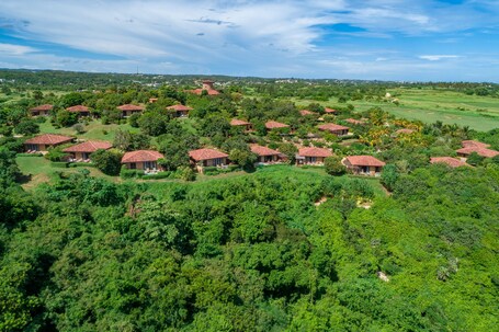 Royal Isabela - Image 16