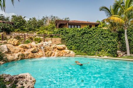Royal Isabela - Image 11