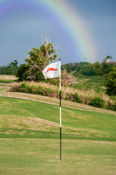 Royal Isabela - Image 25