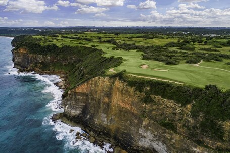 Royal Isabela - Image 17