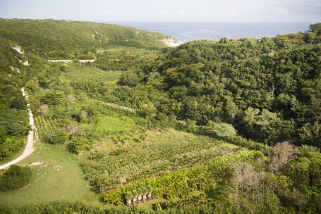 Royal Isabela - Image 18