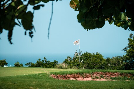 Royal Isabela - Image 34