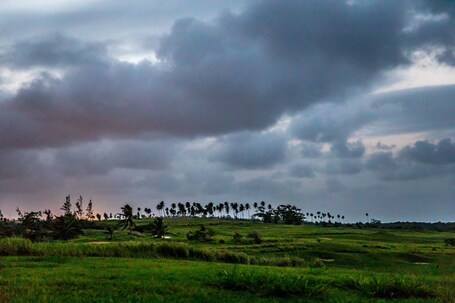Royal Isabela - Image 29
