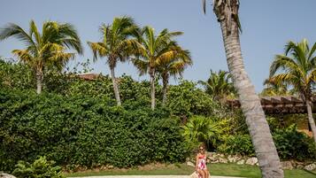 A pool surrounded by palm trees and lush greenery.