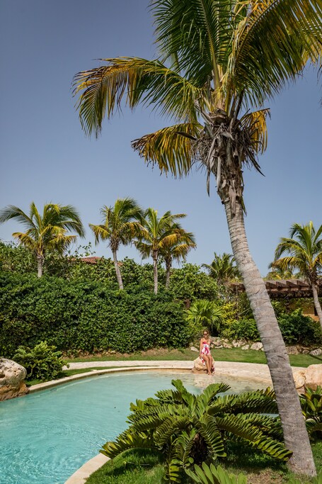 Royal Isabela - Image 46