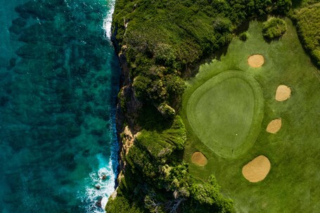 Royal Isabela - Image 22
