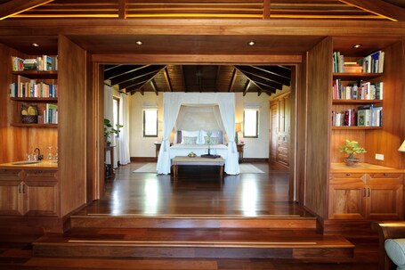 Royal Isabela - Image 20
