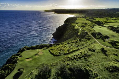 Royal Isabela - Image 23