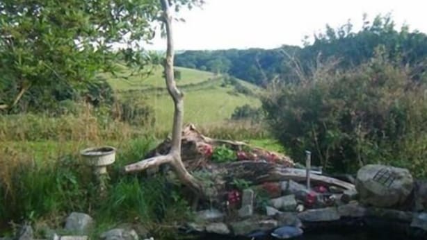 Entorno rústico al aire libre con un pequeño estanque rodeado de rocas y vegetación.