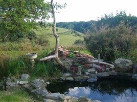 Vista desde la propiedad