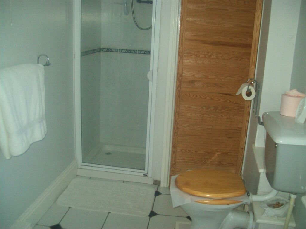 A bathroom with a glass shower enclosure, a wooden toilet, and a white sink.