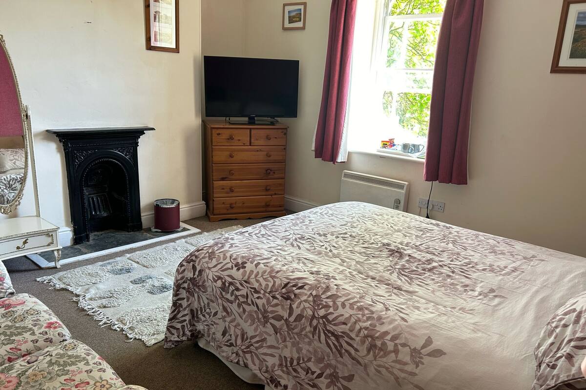 A bedroom with a large bed, a dresser, a television, a fireplace, and a window with curtains.