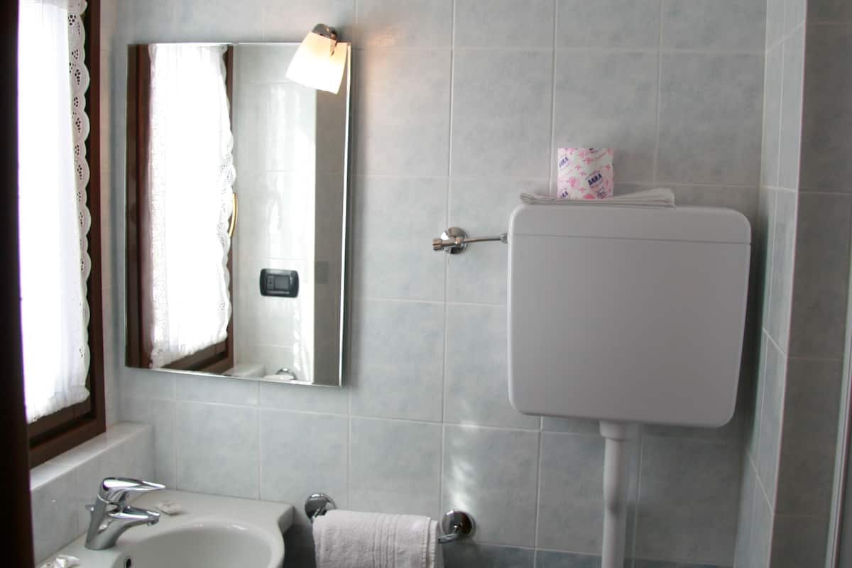 shower, rainfall showerhead, hair dryer, bidet