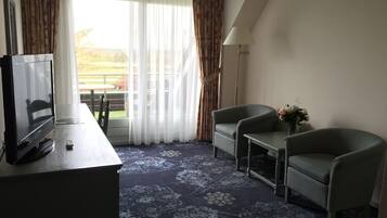 Habitación de hotel con televisor, dos sillones, una mesita con un florero y vistas a un jardín a través de cortinas translúcidas.