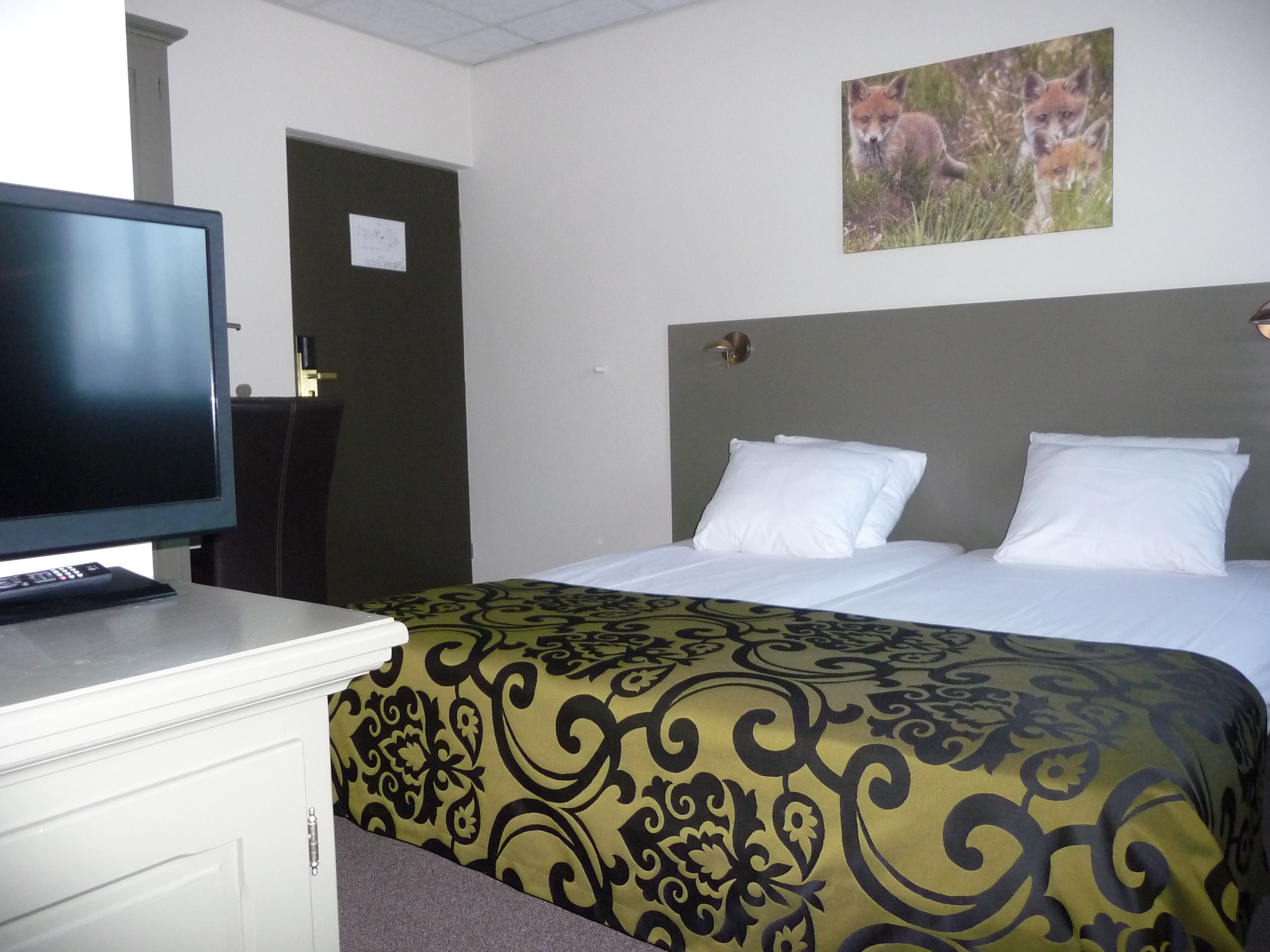 desk, blackout curtains, soundproofing, free wifi