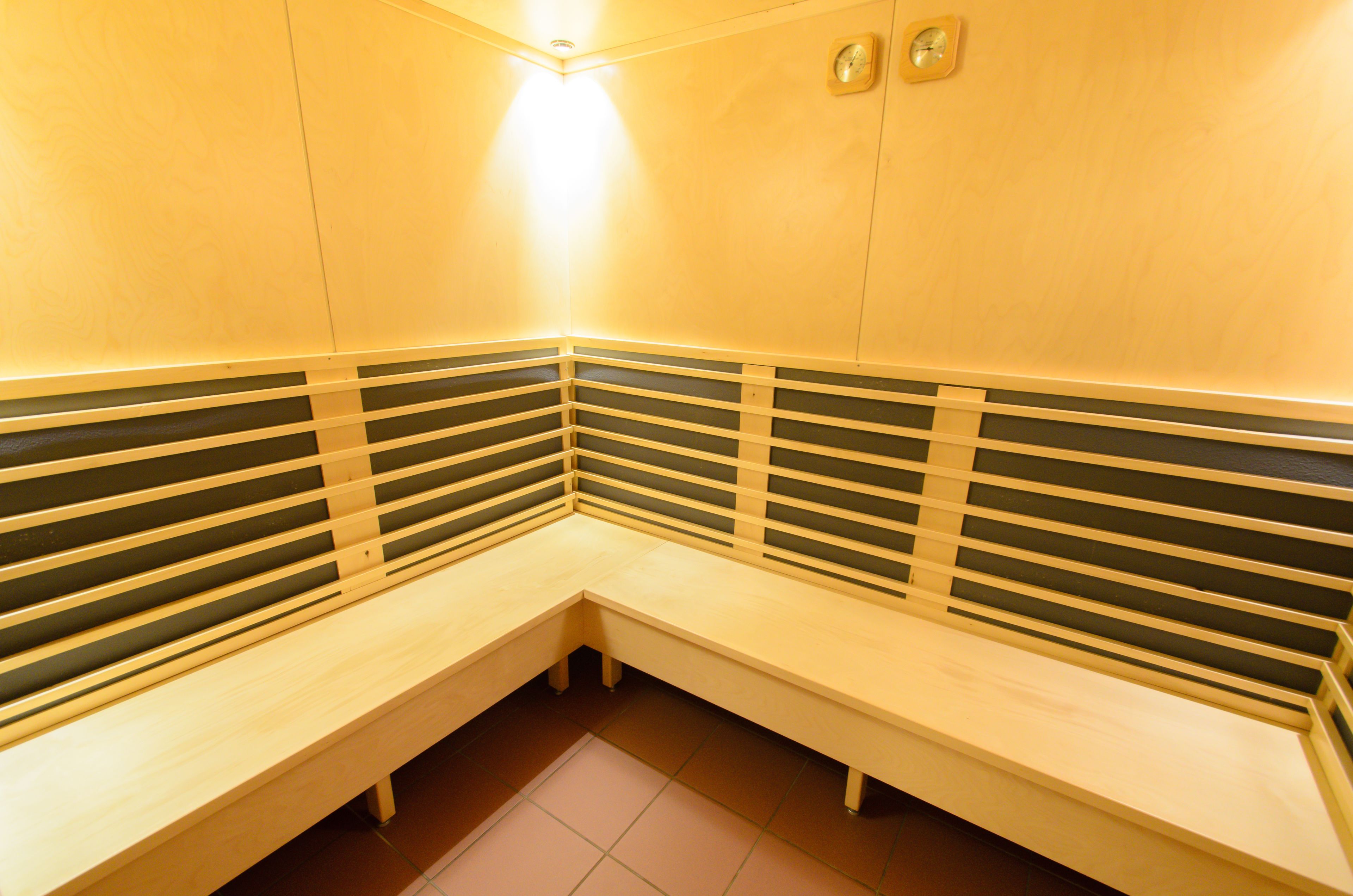 A sauna with benches and a sloped ceiling.