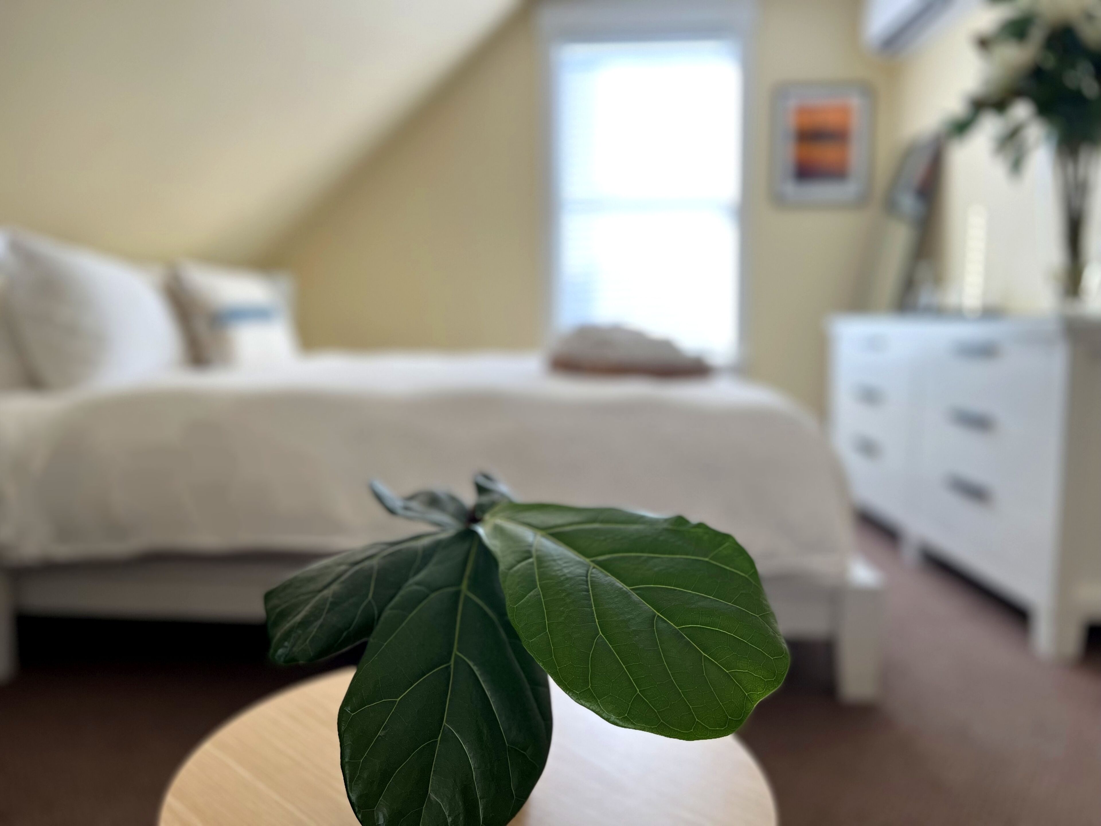 Una camera da letto con un letto, una cassettiera e una pianta su un tavolo.
