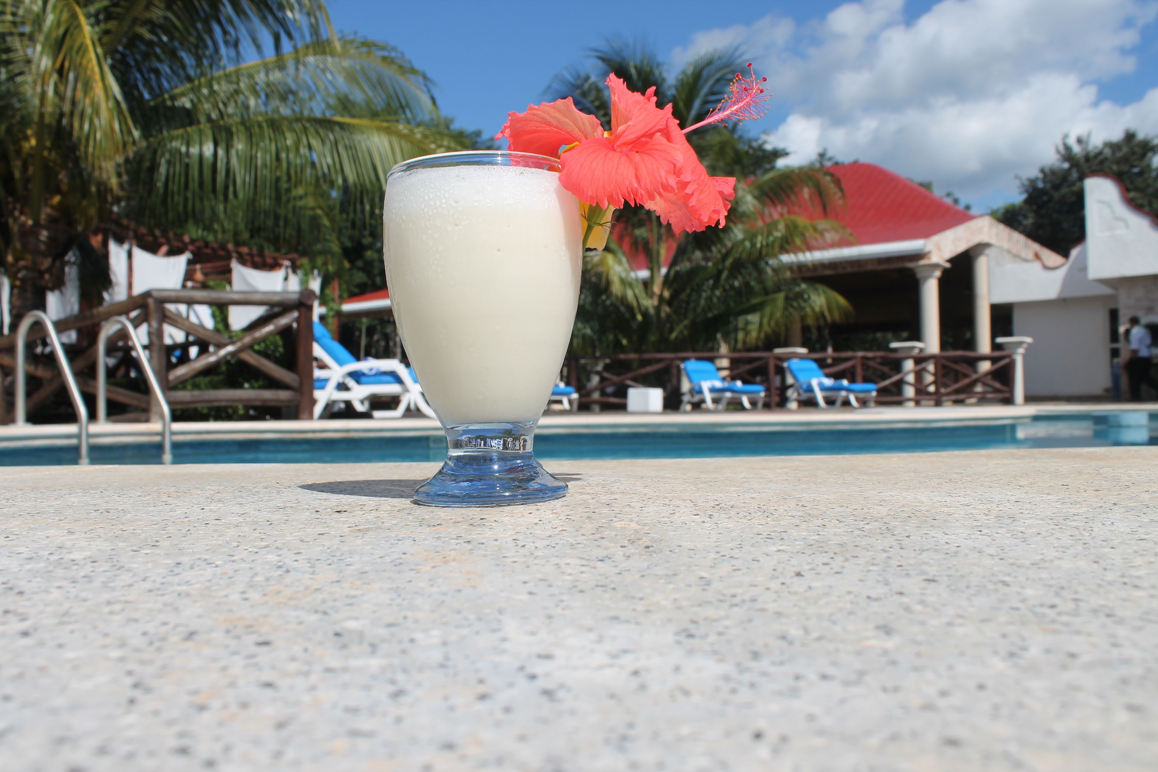Un vaso de una bebida blanca, adornado con una flor roja, sobre una superficie de hormigón cerca de una zona de piscina con tumbonas y palmeras al fondo.