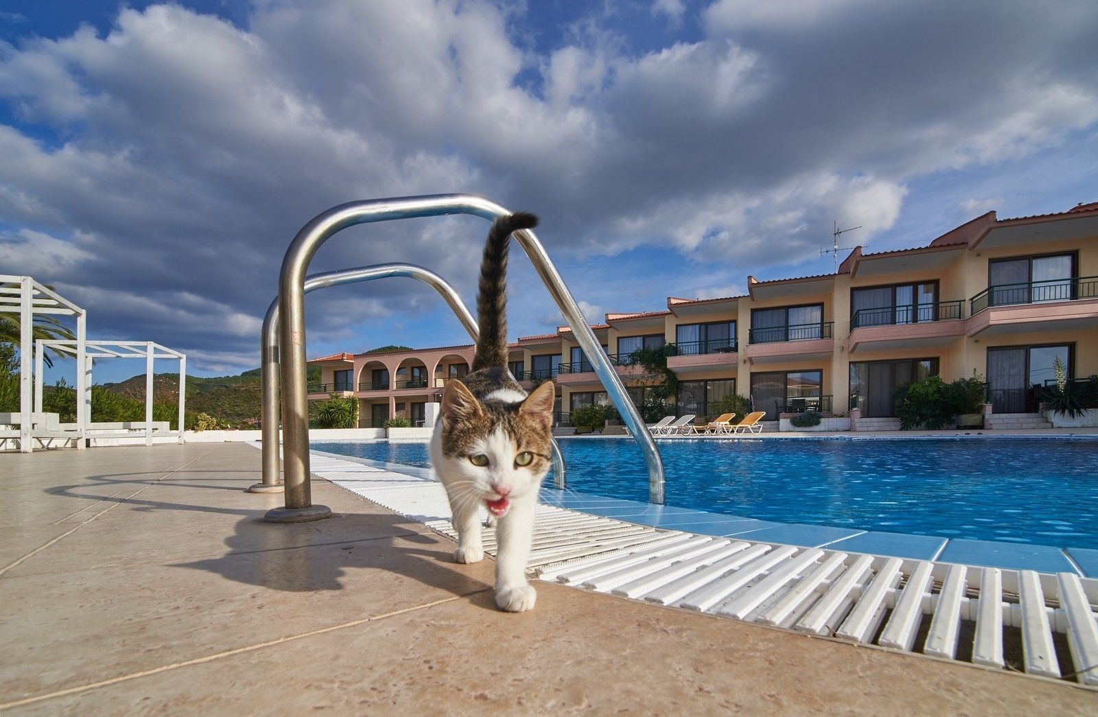 Piscina externa sazonal, guarda-sóis, espreguiçadeiras