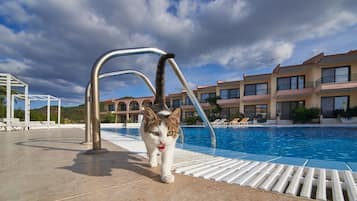 Piscina externa sazonal, guarda-sóis, espreguiçadeiras