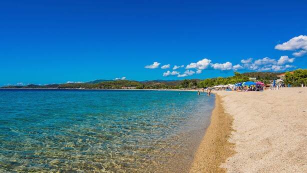 A beach with clear water, sandy shore, and some umbrellas. - Toroni Blue Sea Hotel & Spa (Sithonia)