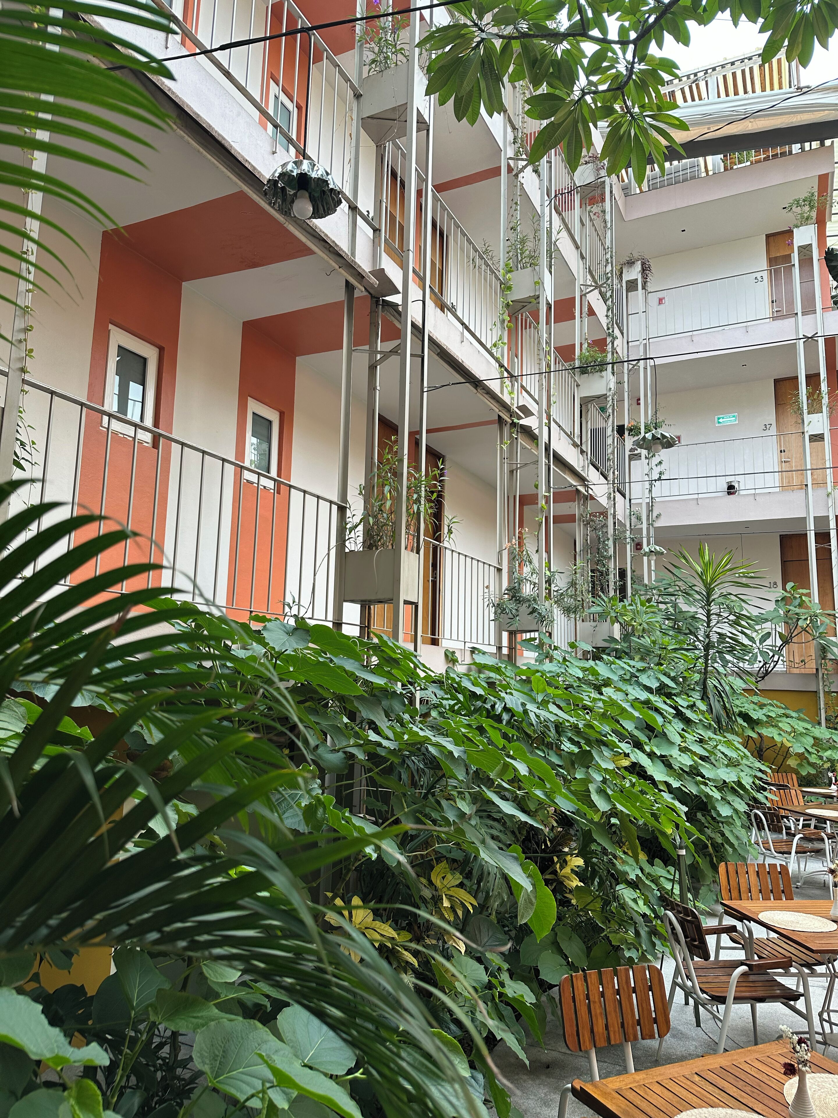 Foto - Flor de Mayo Hotel & Restaurant