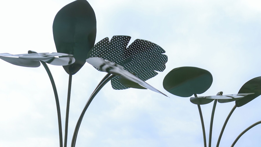 Flor de Mayo Hotel & Restaurant - Adults only