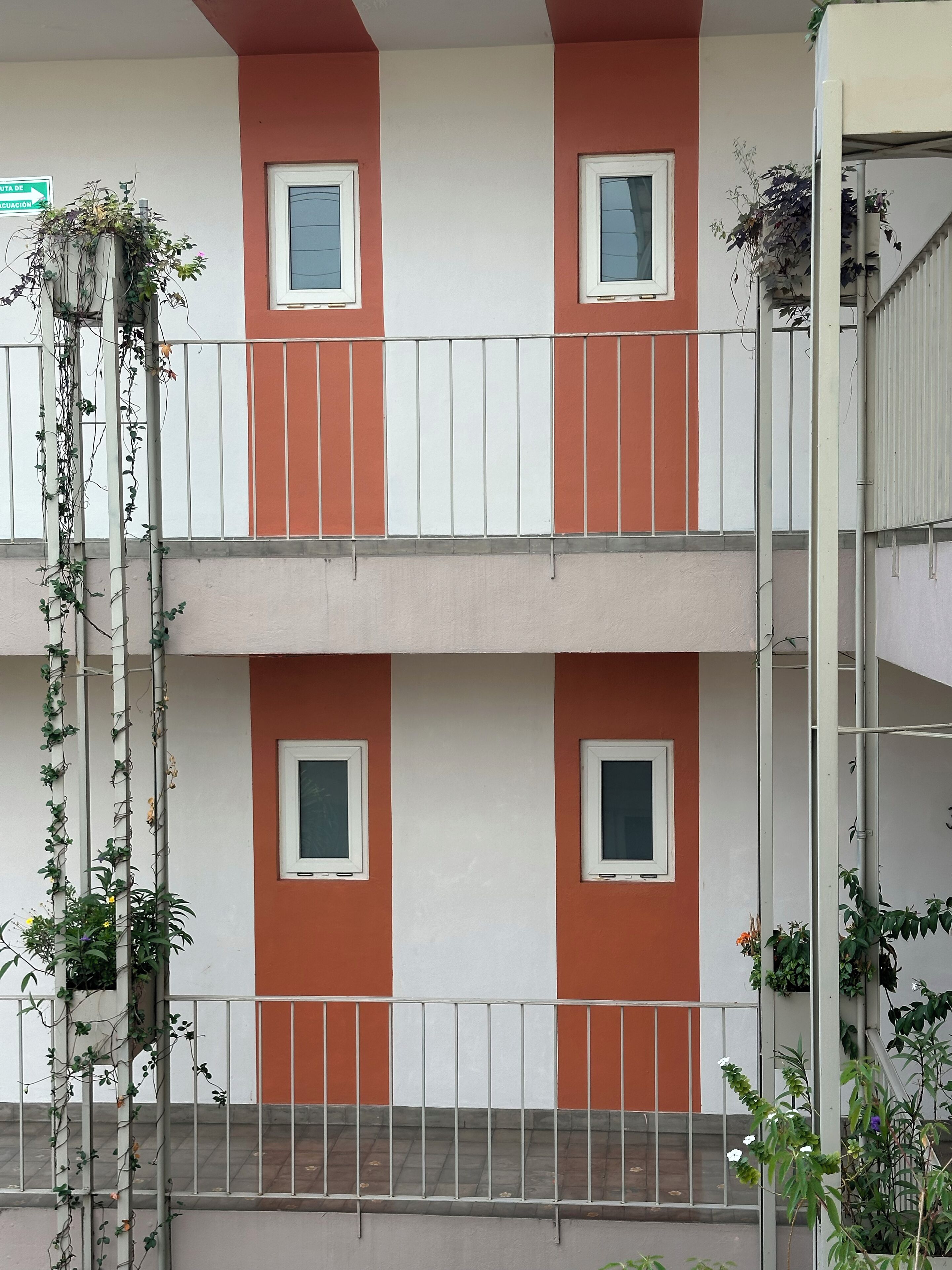 Foto - Flor de Mayo Hotel & Restaurant